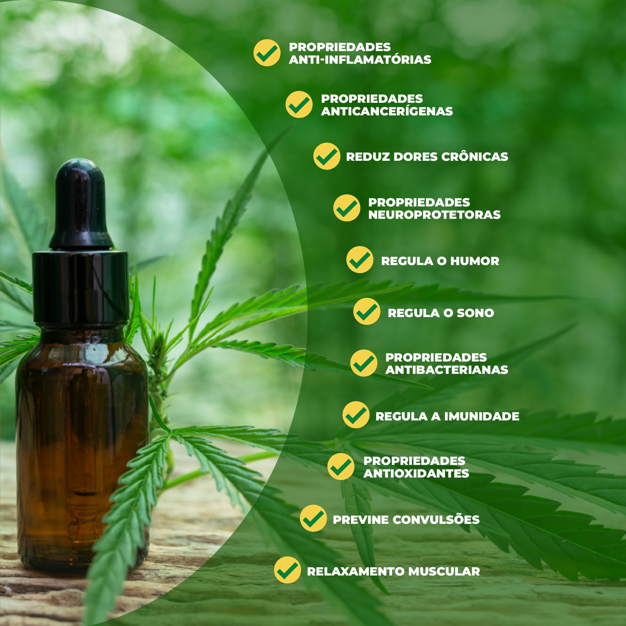 Óleo de cannabis medicinal